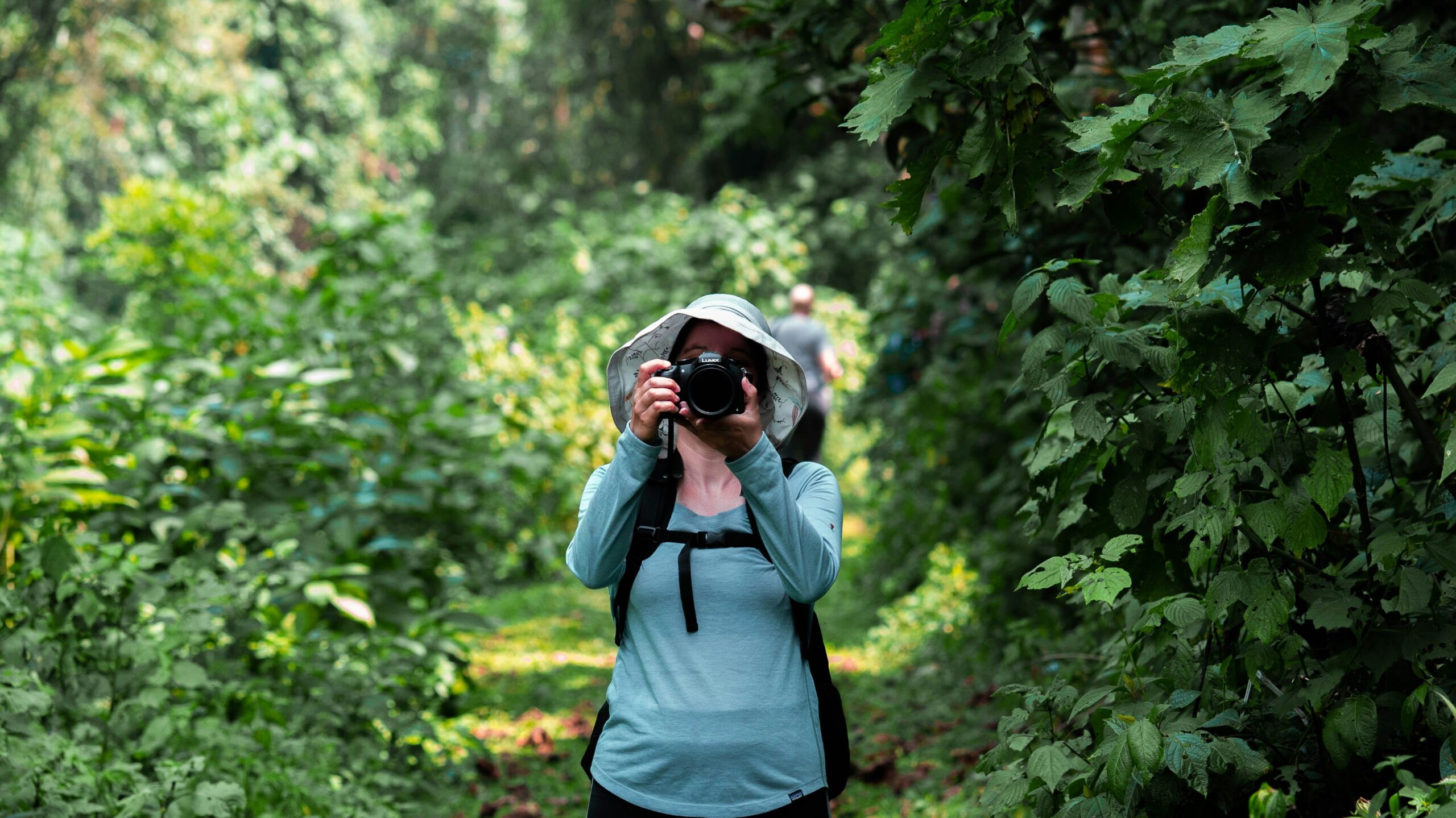 Uganda Chimpanzee Tracking