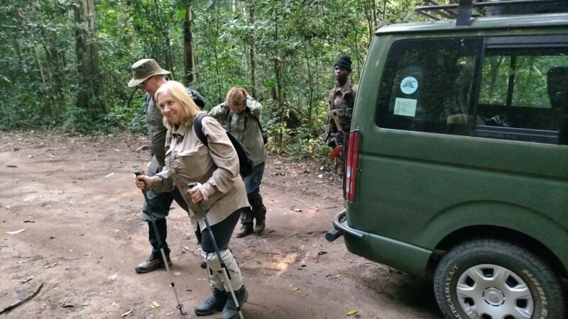 Uganda Gorilla Trekking