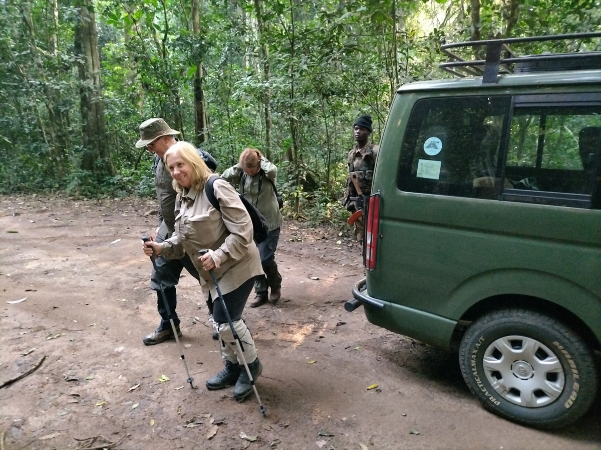 Uganda Gorilla Trekking