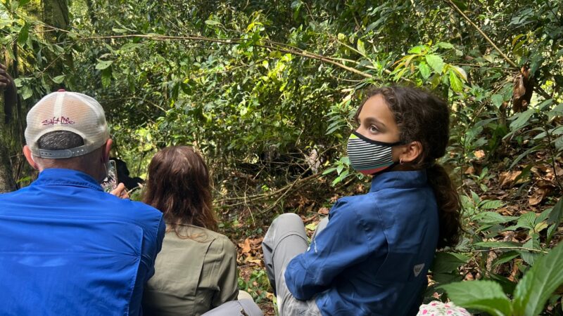 4-Day Rwanda Gorilla Trekking