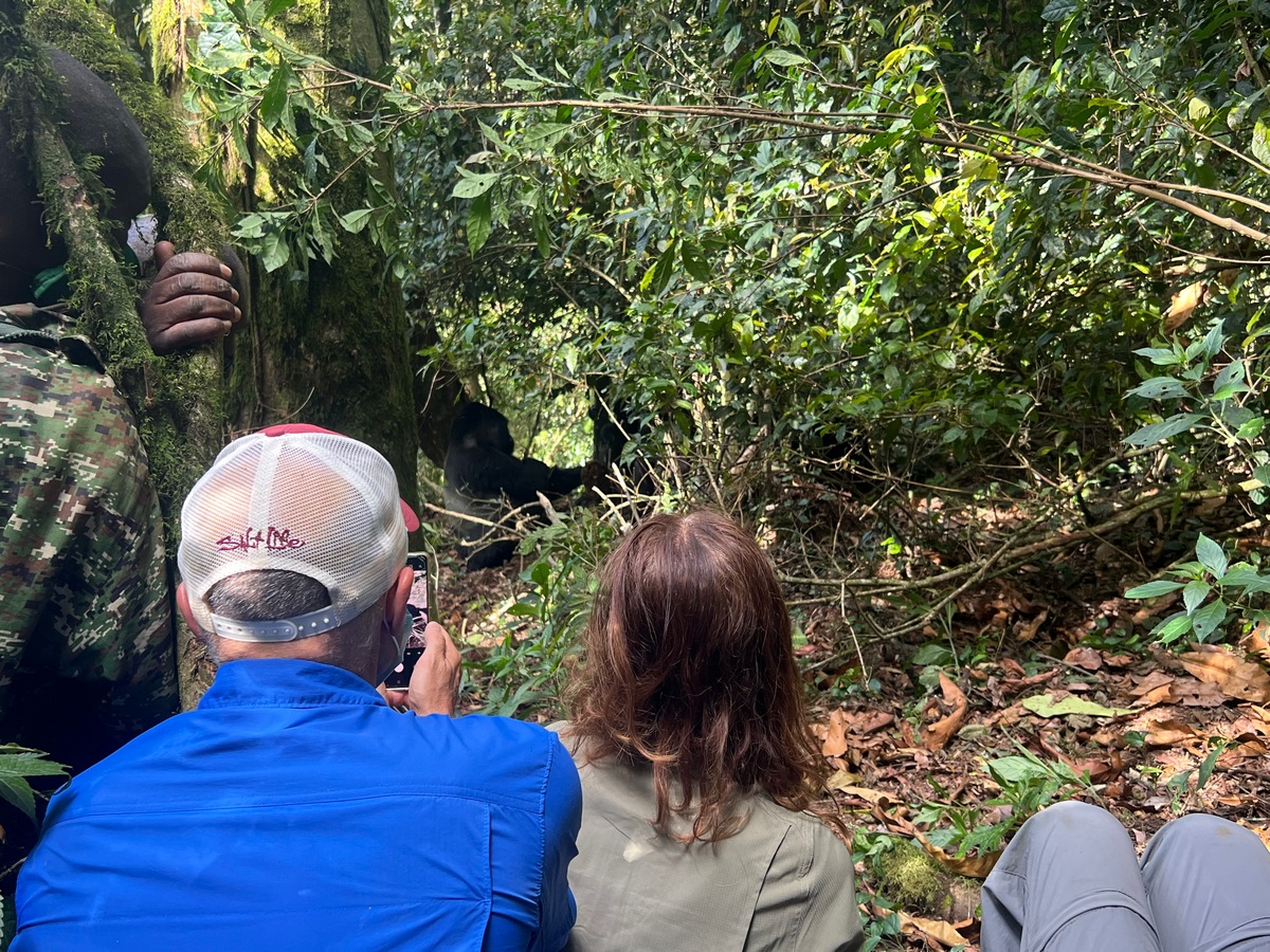 Gorilla Trekking Safari in Uganda 