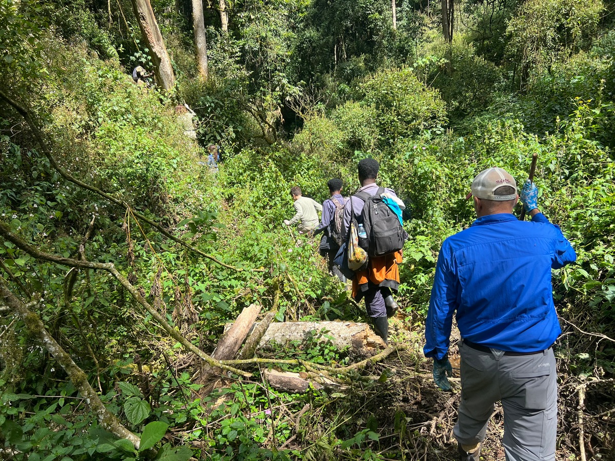 8-Day Uganda Safari 