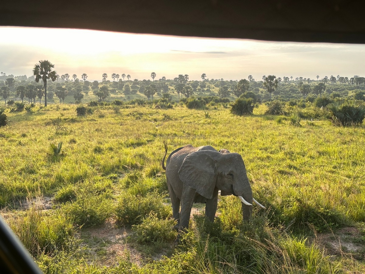 Queen Elizabeth National Park 