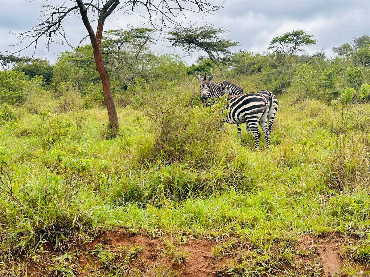 Lake Mburo National Park