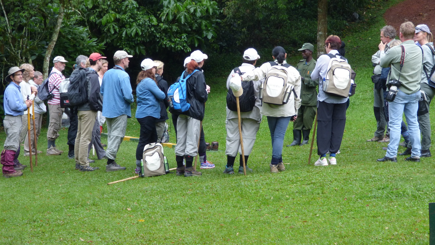 Gorilla Trekking Safaris Uganda