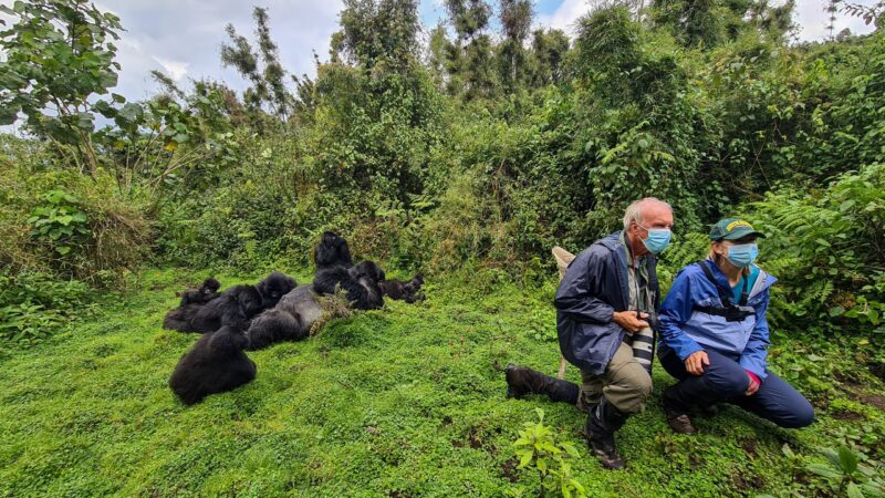 Rwanda Gorilla Safaris