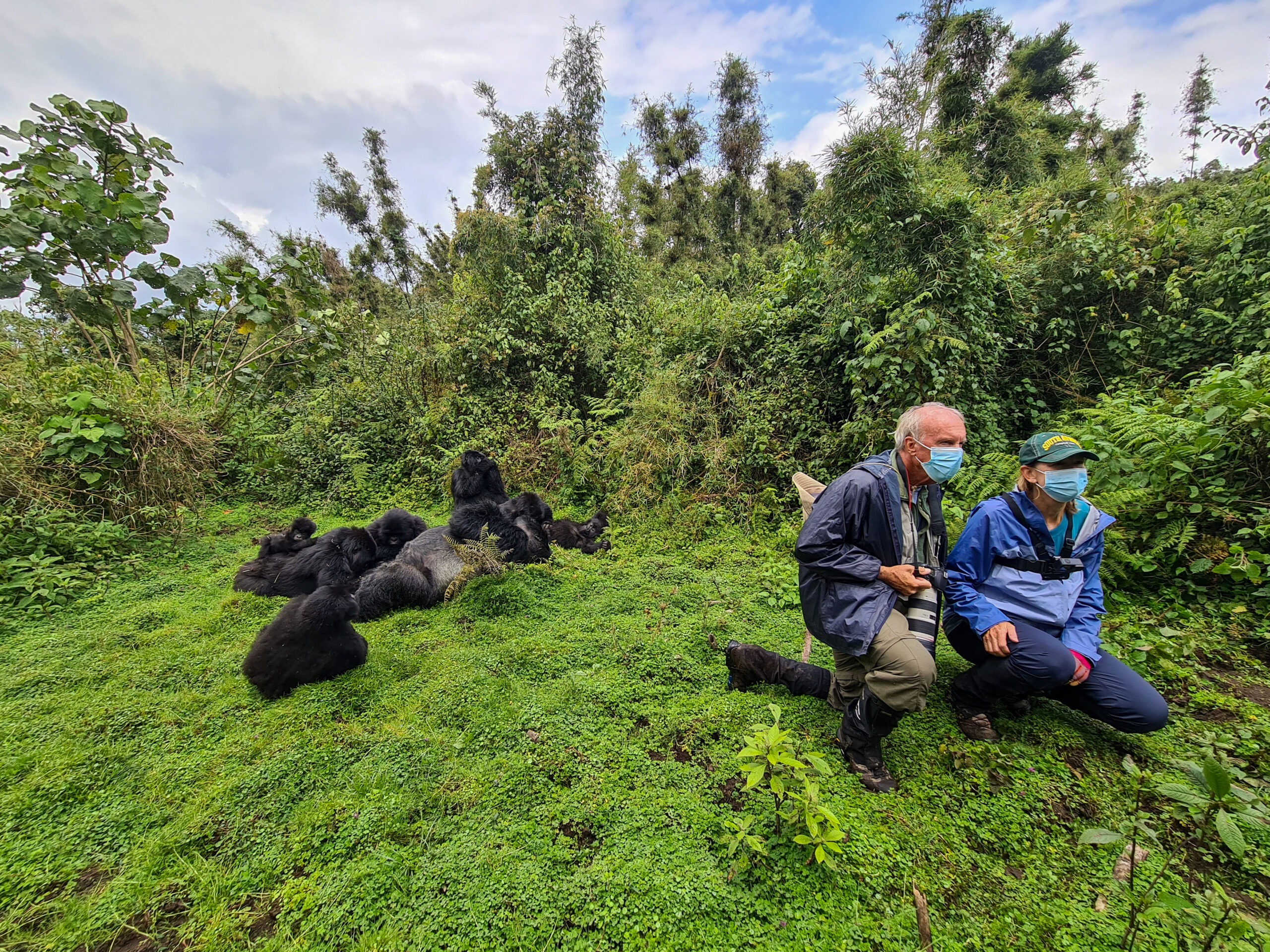 Africa Gorilla Trekking 