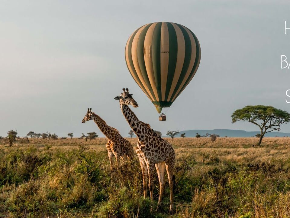 Tanzania Hot Air Balloon Safaris