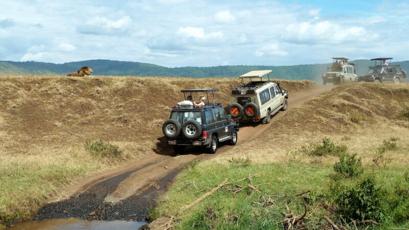 4-Day Kenya Wildlife Safari