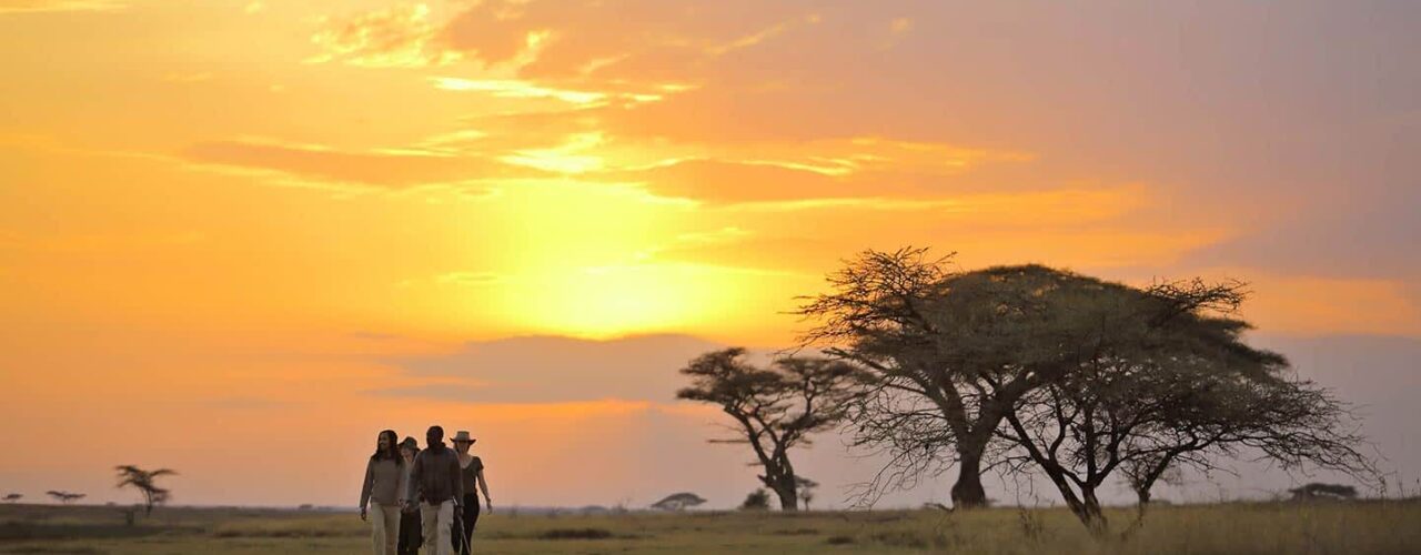 8-Day Luxury Kenya Safari