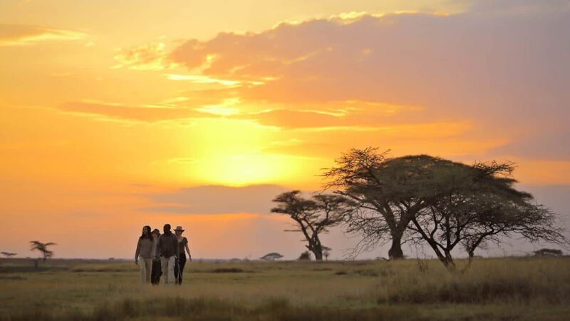 8-Day Luxury Kenya Safari