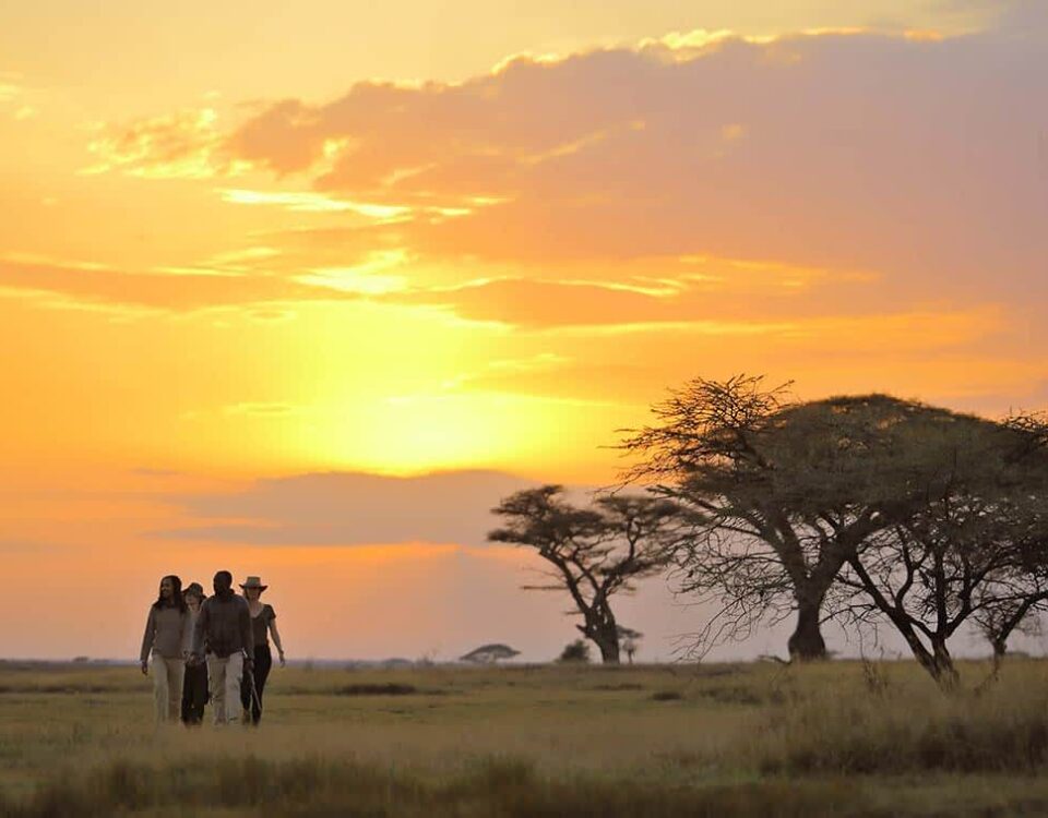 8-Day Luxury Kenya Safari