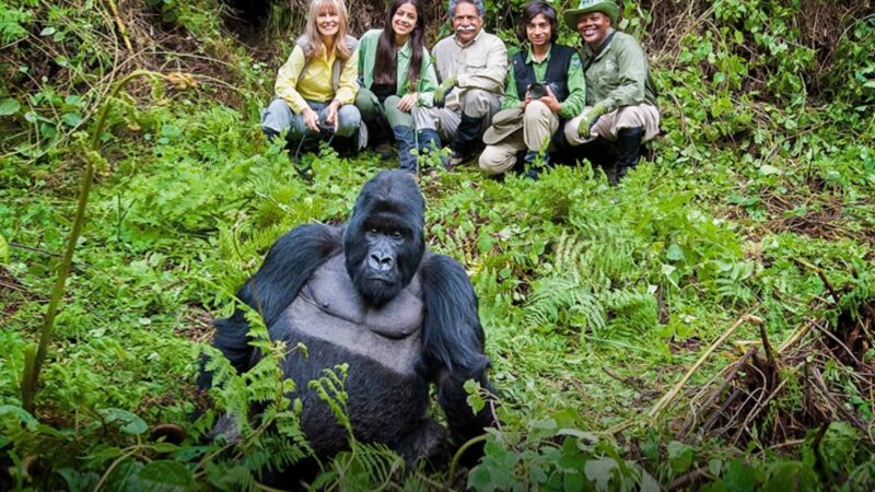 3-Day Rwanda Gorilla Safari