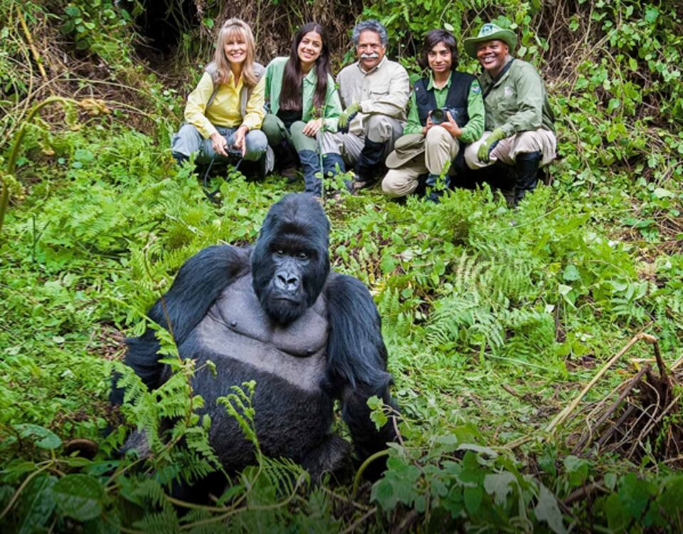 3-Day Rwanda Gorilla Safari