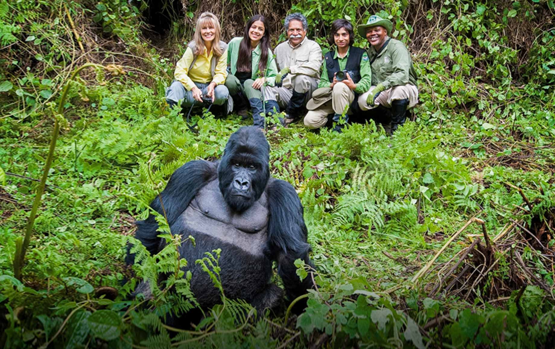 3-Day Rwanda Gorilla Safari