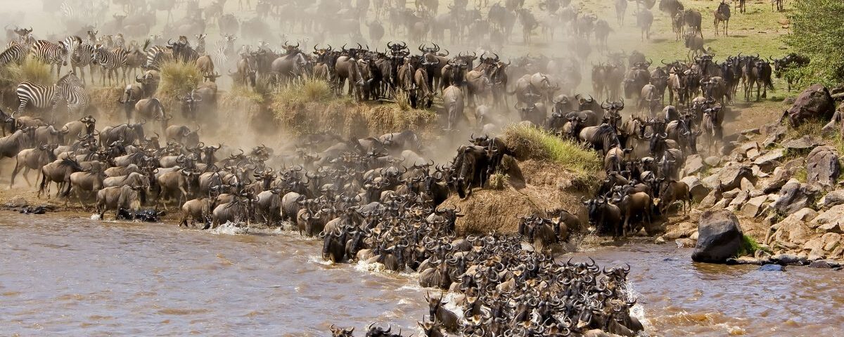 10-Day Tanzania Wildlife Safari