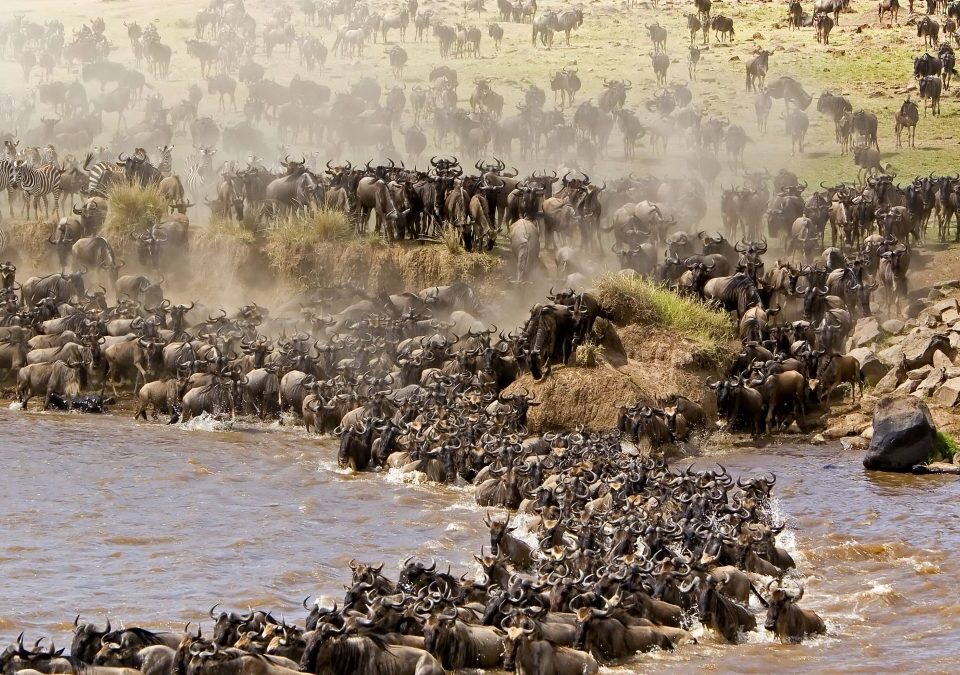 10-Day Tanzania Wildlife Safari