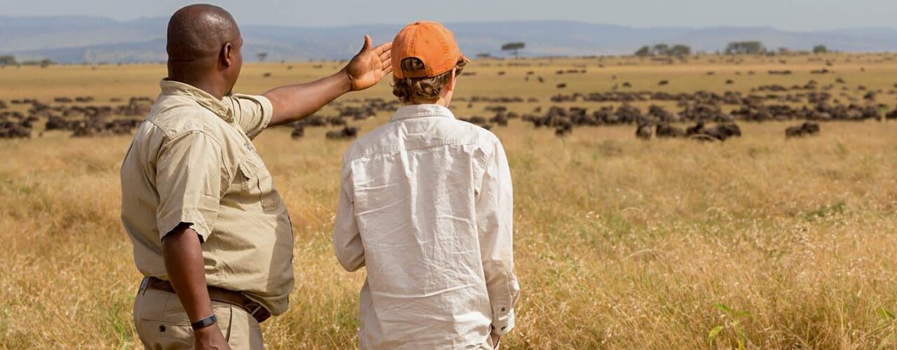 Africa Wildlife Safaris