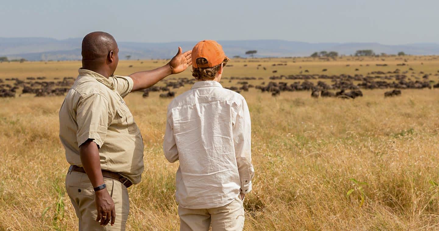 How Much Does a Kenya Safari Cost?