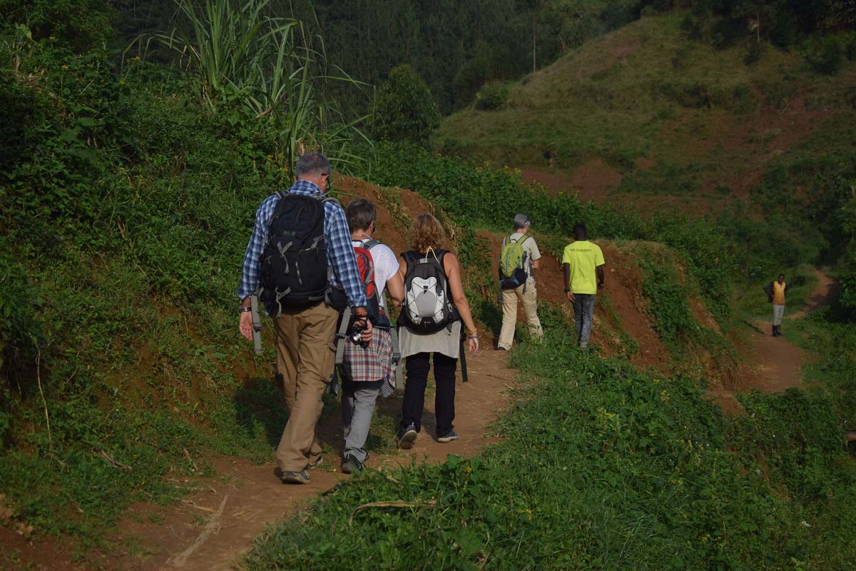 When is the Best Time for Gorilla Trekking in Rwanda?