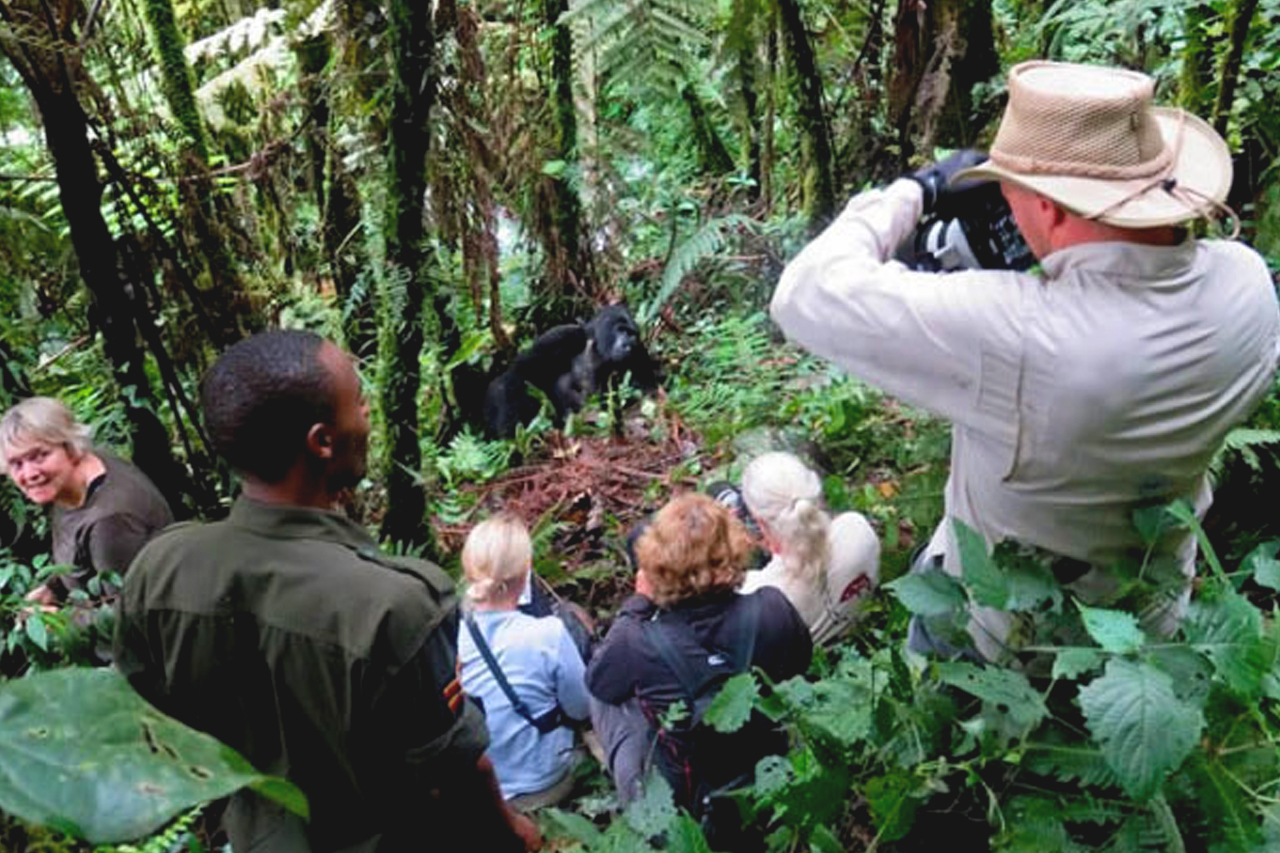 Responsible Gorilla Trekking