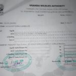 Gorilla Trekking Permit in Uganda