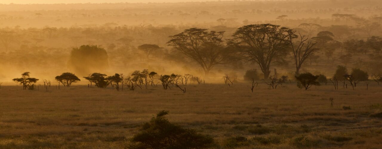 10-Day Best Tanzania Safari