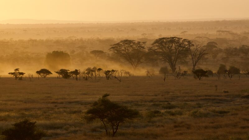 10-Day Best Tanzania Safari