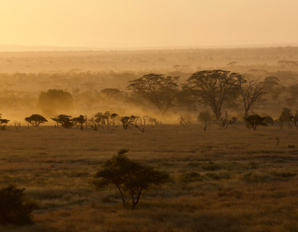 10-Day Best Tanzania Safari