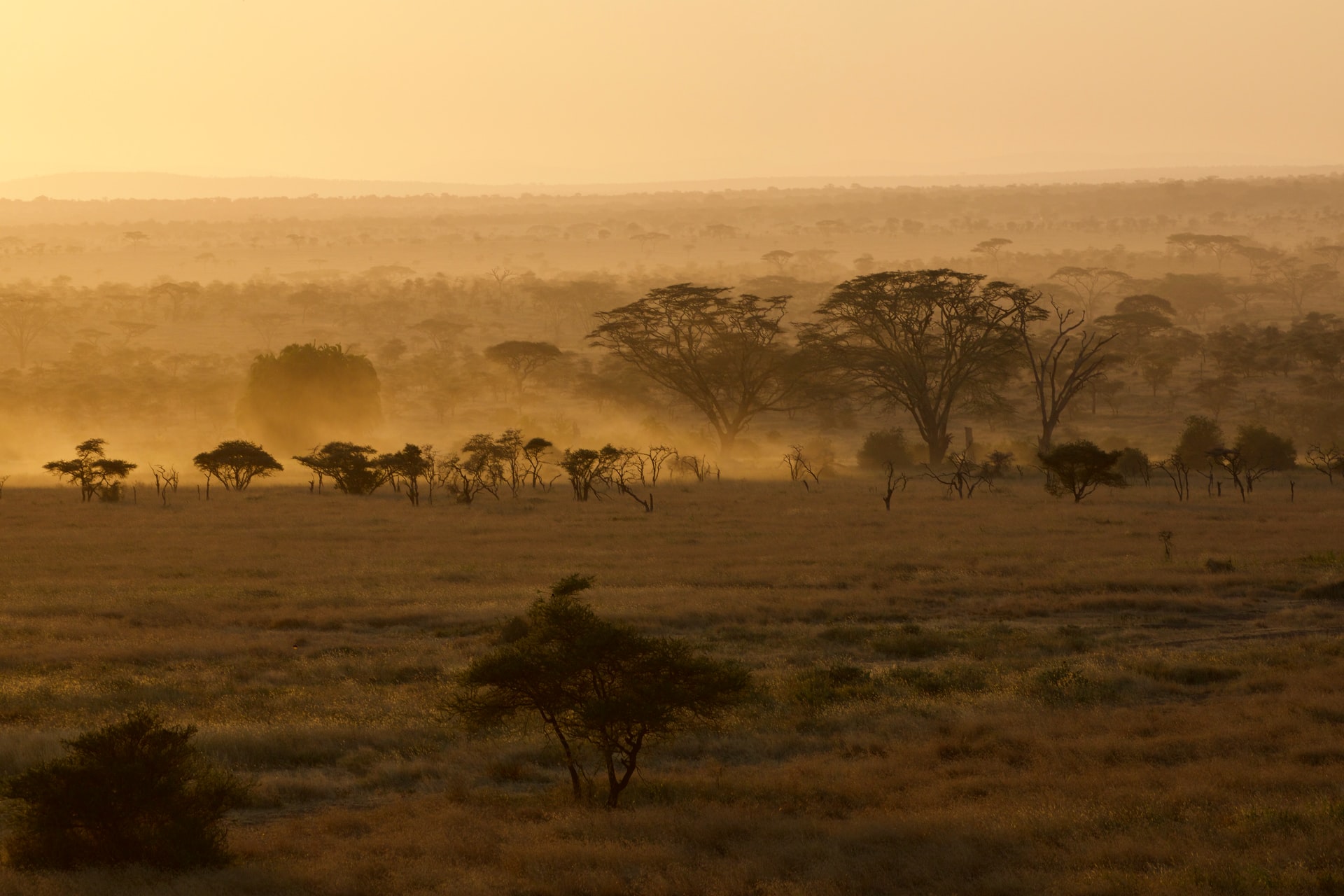 10-Day Best Tanzania Safari