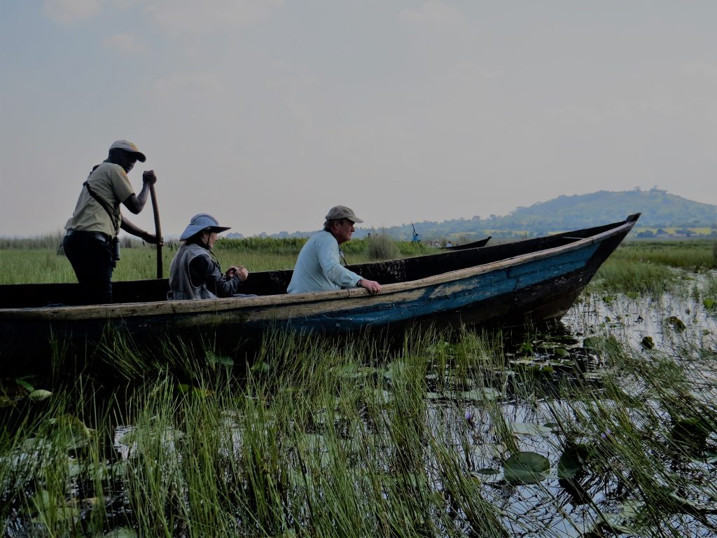 Mabamba Swamp Birding Tour