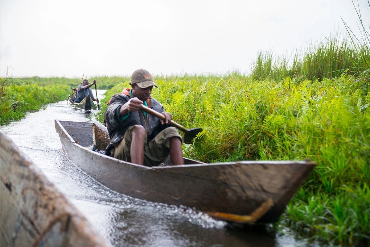 Mabamba Swamp Birding Tour