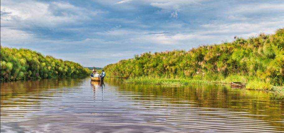 Mabamba Swamp Birding Tour